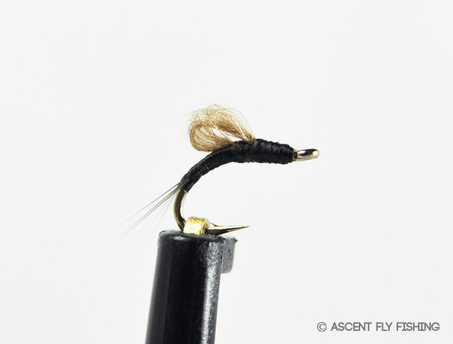 Black CDC Loopwing Emerger