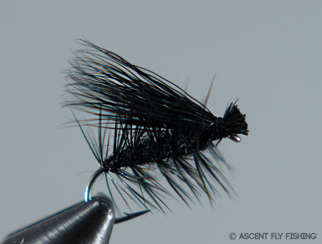 Black Elk Hair Caddis