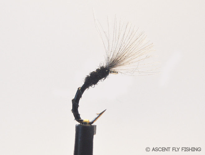 Black Quill Midge Emerger