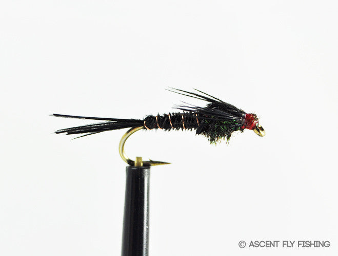 Black Pheasant Tail Nymph