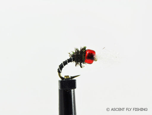 Black Rojo Midge