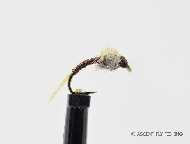 WD-40 — Ascent Fly Fishing
