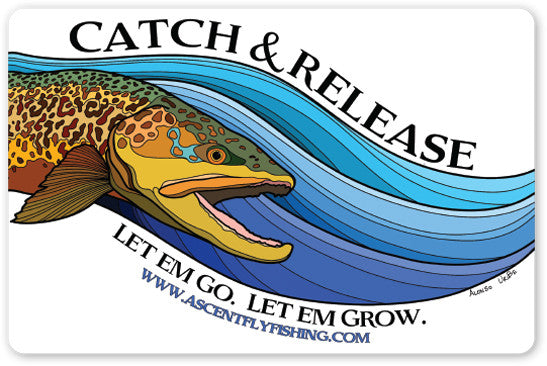 Catch & Release Decal — Ascent Fly Fishing