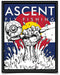 Colorado Flag Tight Line Decal