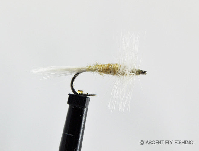 Cream Dry Midge