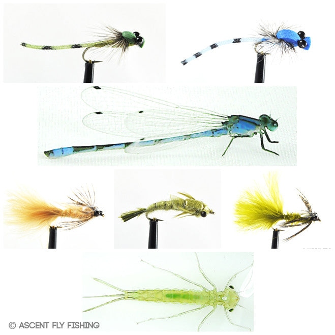 Damselfly Selection — Ascent Fly Fishing