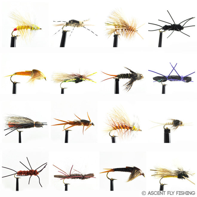 Deadly Dozen Stonefly Selection