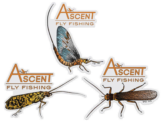 Hatch Decals — Ascent Fly Fishing