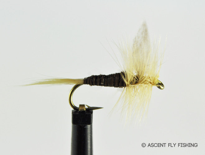 Ginger Quill — Ascent Fly Fishing