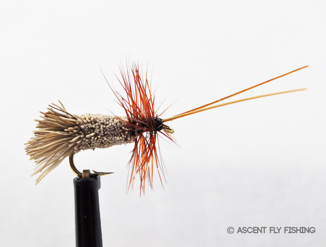 Goddard Caddis