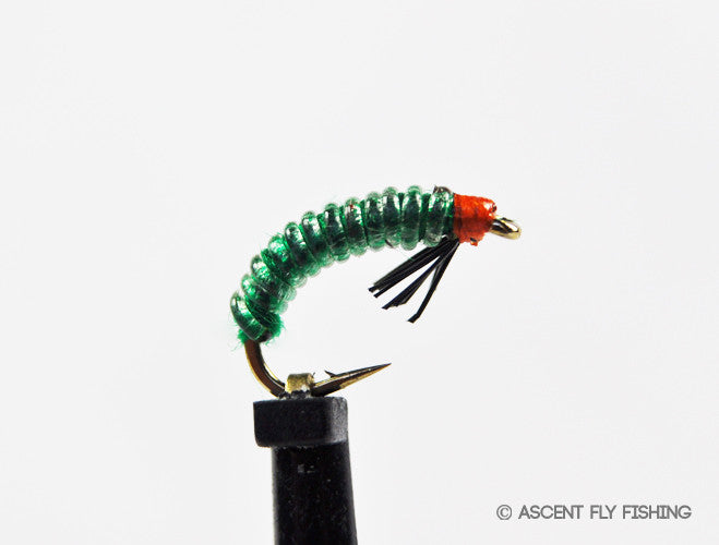 Green Jelly Cord Caddis Larva