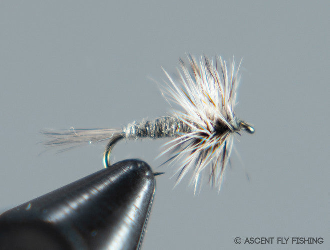 Grey Dry Midge