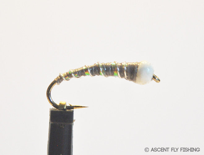 Grey Ice Cream Cone Chironomid