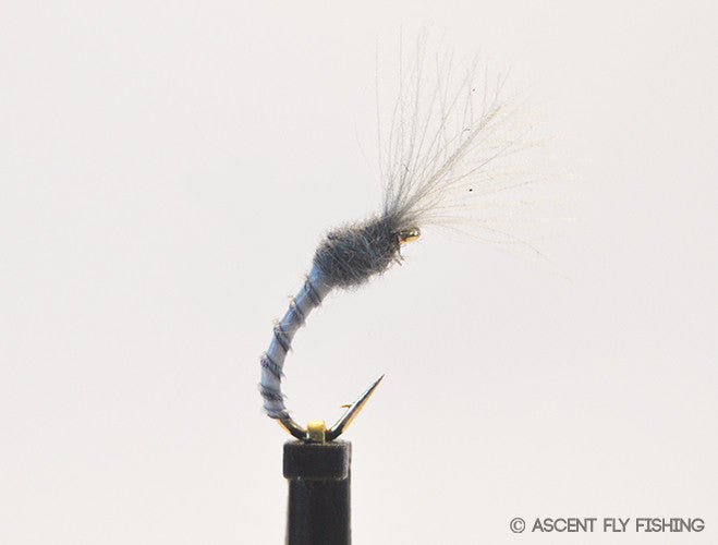 Quill Midge Emerger — Ascent Fly Fishing