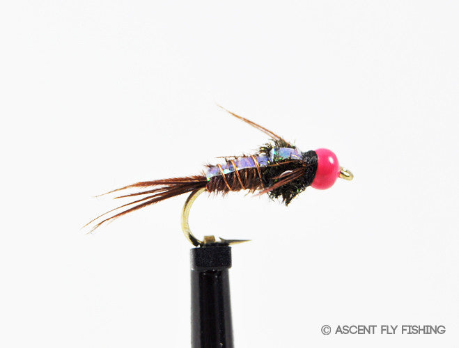 Hot Pink Beadhead Pheasant Tail Flashback