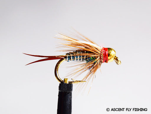 Beadhead Hotwire Prince Nymph - Blue/Silver