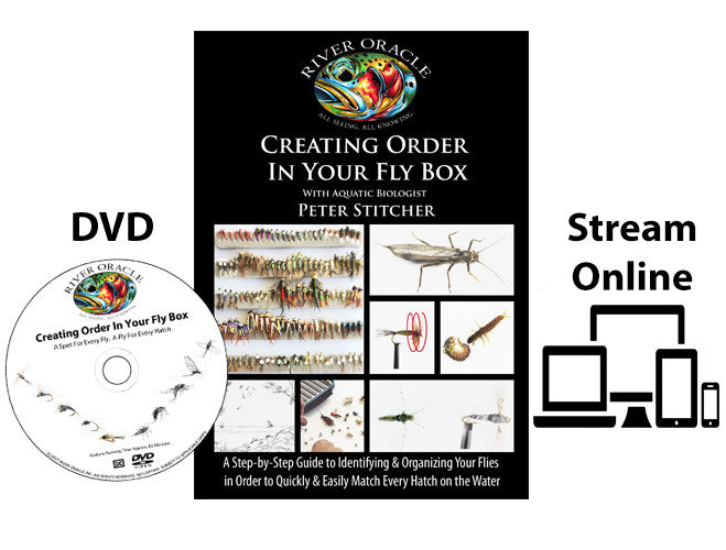 Creating Order in Your Fly Box