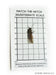 Waterproof Invertebrate Measurement Card