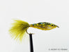 Brookie Janssen's Minnow