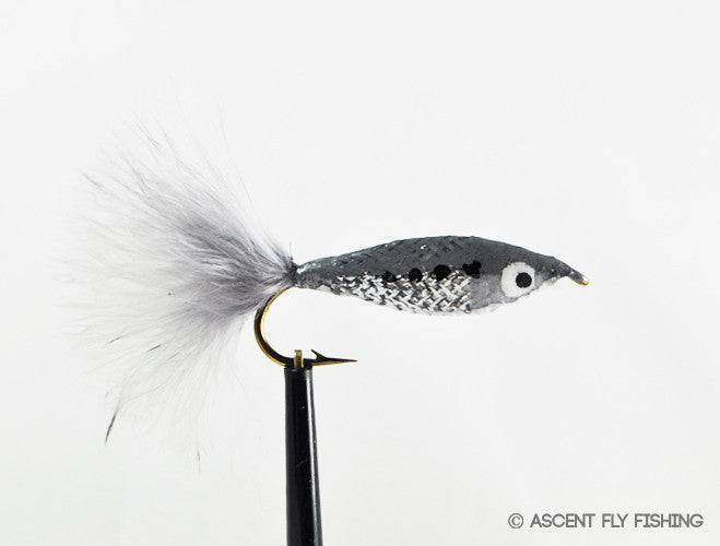 Shad Janssen's Minnow