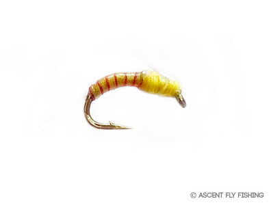 Juju Yellow Sally — Ascent Fly Fishing