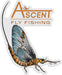 Mayfly Decal