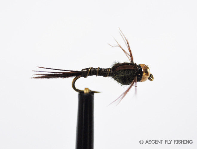 Beadhead Micro Mayfly — Ascent Fly Fishing