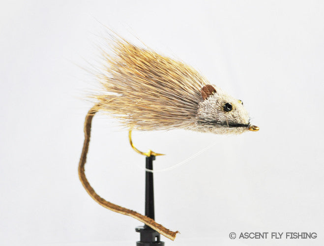 Mouse Rat — Ascent Fly Fishing