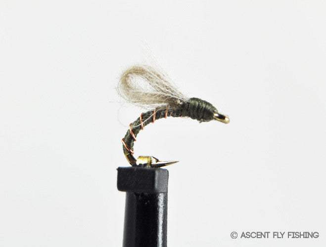 Olive CDC Loopwing Emerger