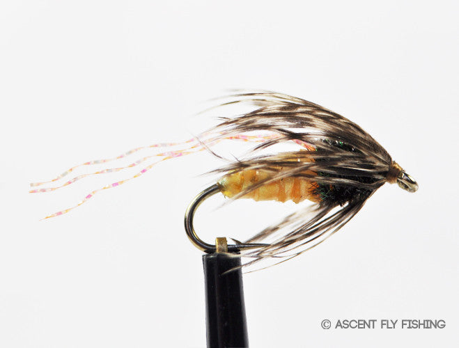 Olive Chewee Caddis Emerger