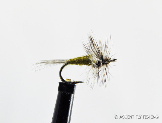 Olive Dry Midge