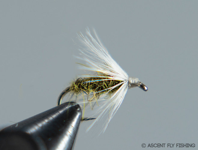 Olive  Soft Hackle Sowbug