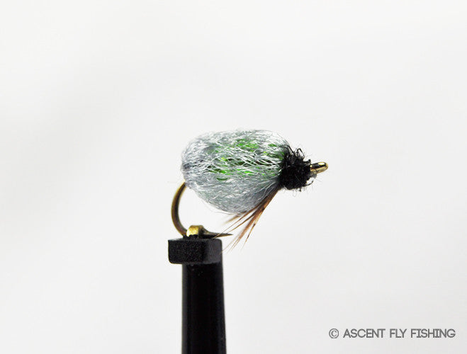 Olive Sparkle Caddis Pupa