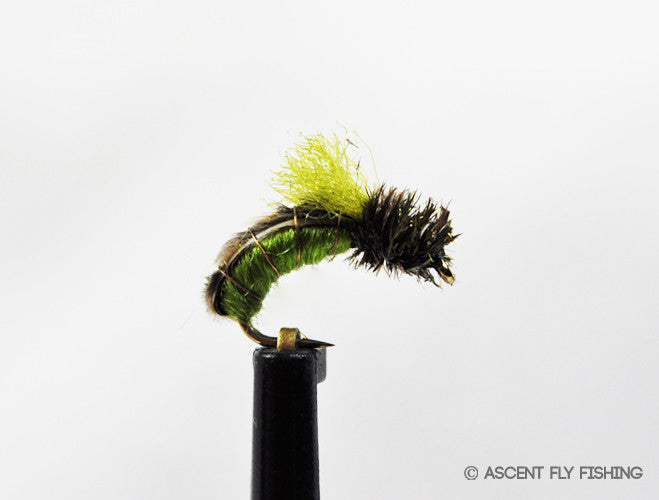 Olive Z-Wing Caddis