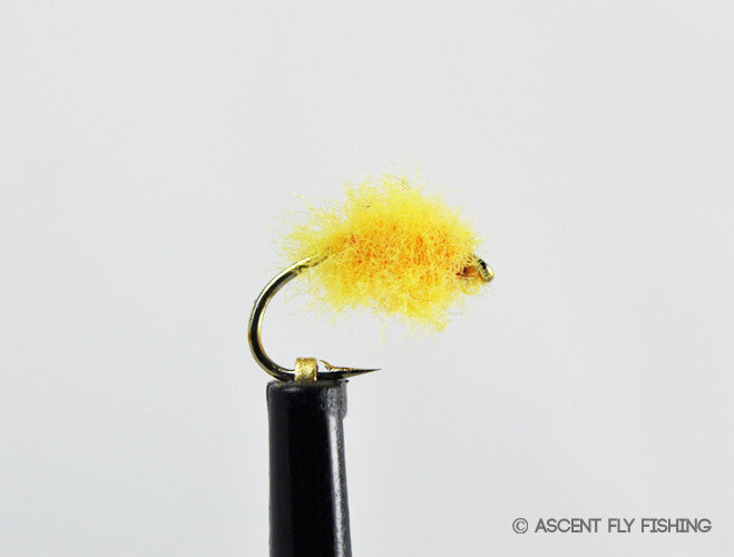Loop Egg — Ascent Fly Fishing