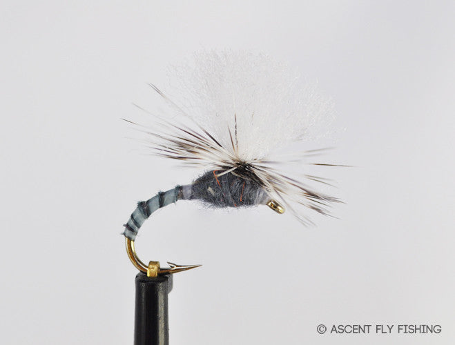 Parachute Grey Drake Biot Emerger