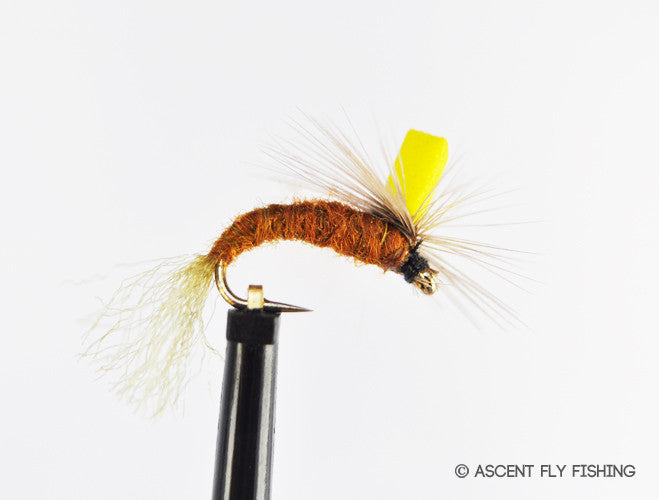 Parachute Sulphur Emerger