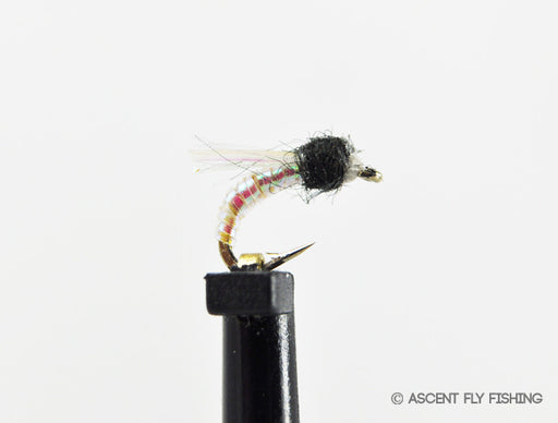 Pearl Sparkle Wing Midge Emerger