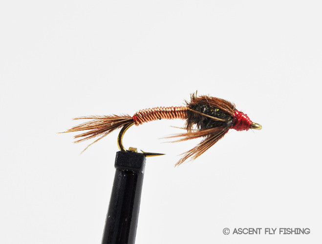 Pheasant Tail Brassie