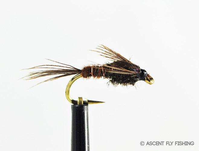 Pheasant Tail Nymph