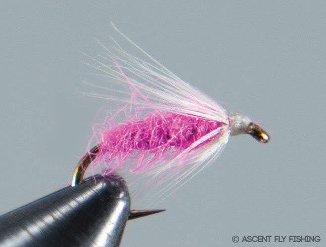 Pink  Soft Hackle Sowbug