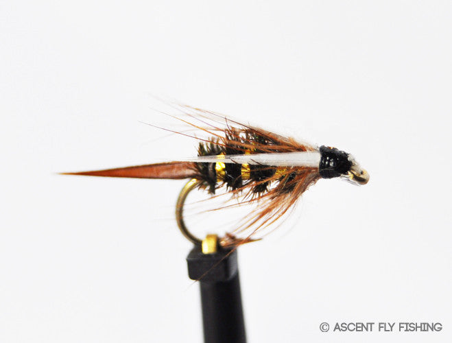 Prince Nymph — Ascent Fly Fishing