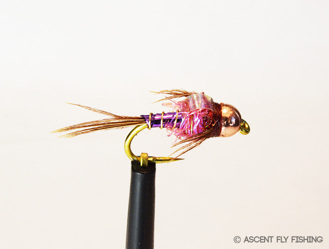 Mahalo Nymph — Ascent Fly Fishing