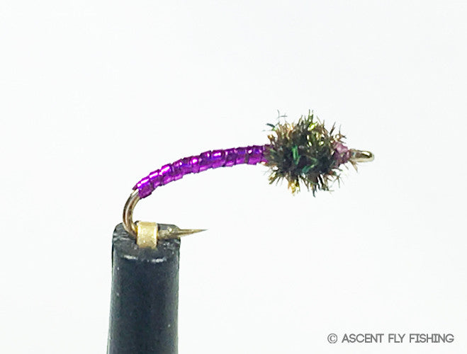 Purple Disco Midge