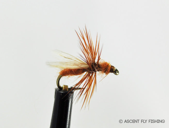 Ant & Termite Patterns — Ascent Fly Fishing