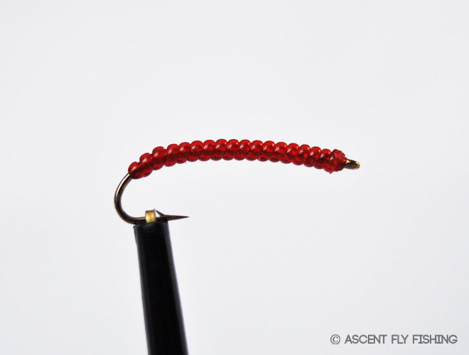 Red Rock Worm