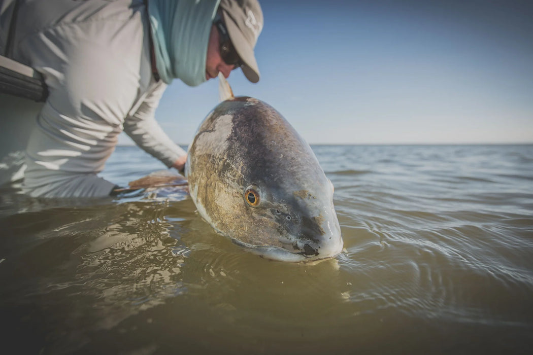 Cortland Cold Salt Redfish Fly Line