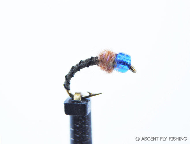 Reef Pal — Ascent Fly Fishing