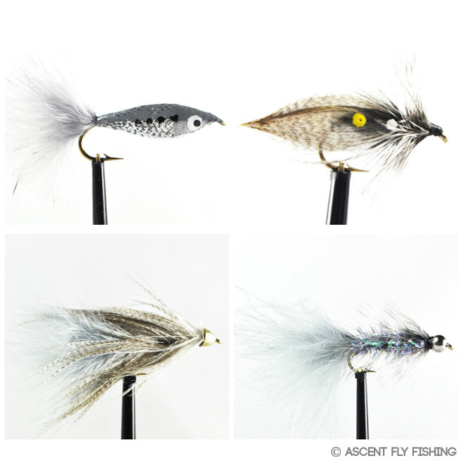 Shad Selection — Ascent Fly Fishing