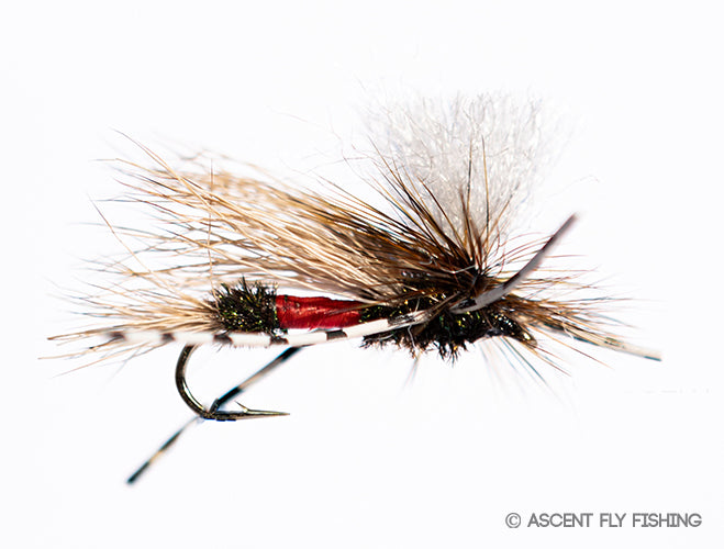 Parachute Madame X (PMX)